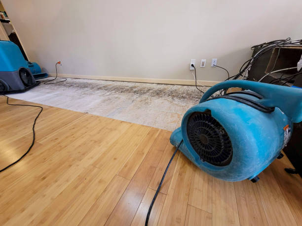 Professional Water Damage Repair technician working in Jacksonville, OR